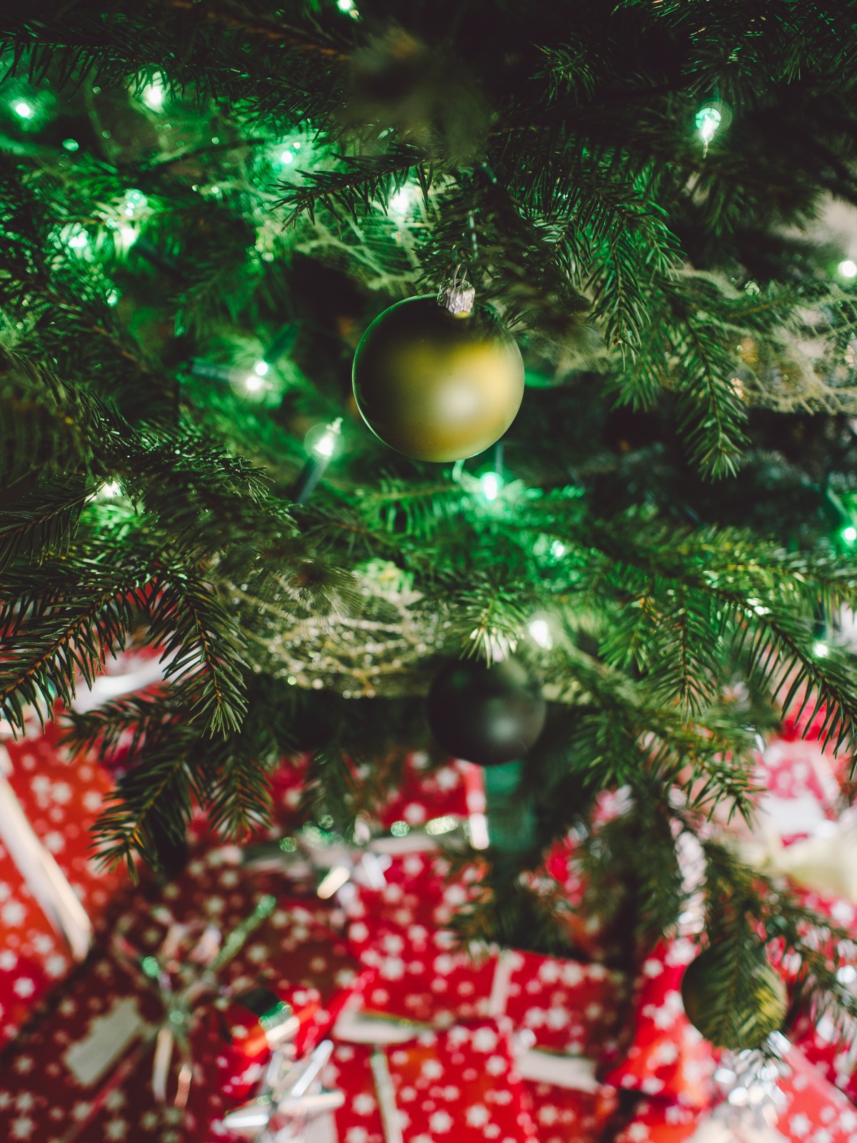 Ideas para unas fiestas de Navidad más sostenibles (II)