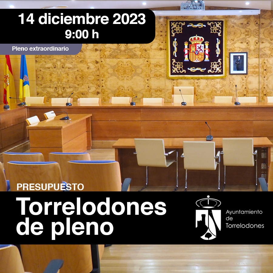 Pleno extraordinario el jueves 14 de diciembre a las 9:00 h