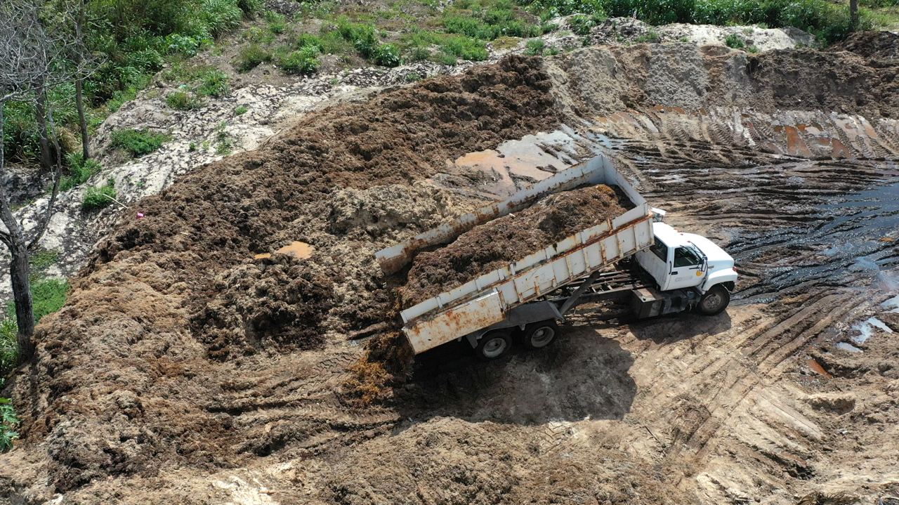 Solidaridad ejemplo en recolección de sargazo y recuperación de arenales – H. Ayuntamiento de Solidaridad