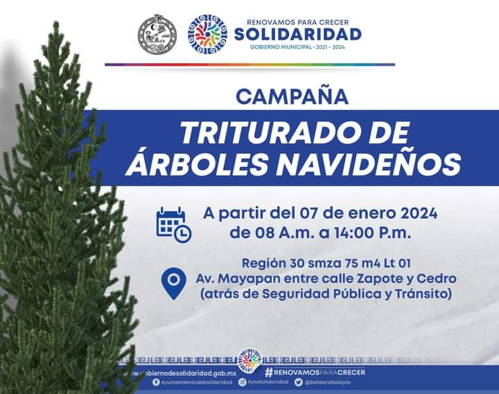 Invitan a participar en la campaña “Triturado de Árboles Navideños” – H. Ayuntamiento de Solidaridad