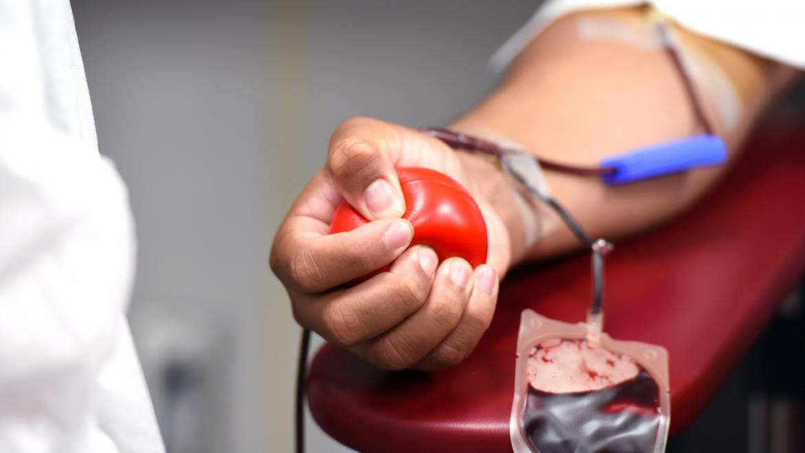 La Comunidad de Madrid activa el carnet de donante de sangre en la Tarjeta Sanitaria Virtual para potenciar este gesto solidario