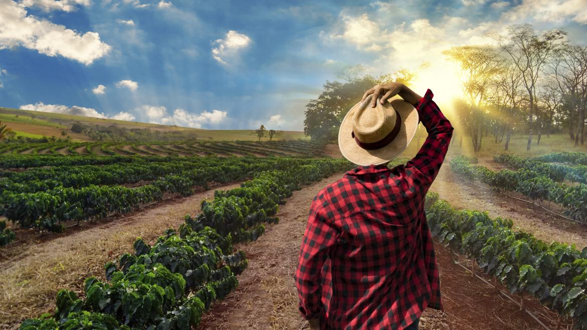 La Comunidad de Madrid ayuda con más de 6 millones de euros a agricultores y ganaderos para paliar las consecuencias de la sequía