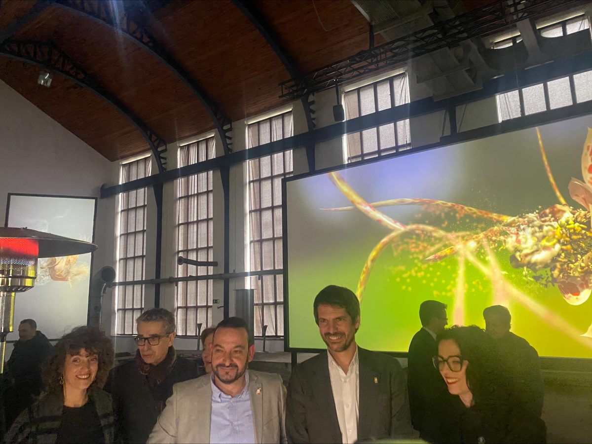 El Ministerio de Cultura anuncia una inversión de 1,1 millones de euros para la segunda fase de rehabilitación del Pozu Santa Bárbara