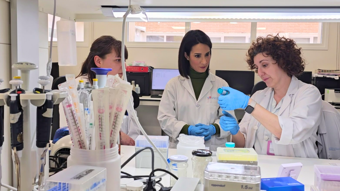 Investigadores del Hospital 12 de Octubre demuestran la agresividad de un tipo de cáncer de próstata para el que existe una alternativa terapéutica utilizada ya en otros tumores
