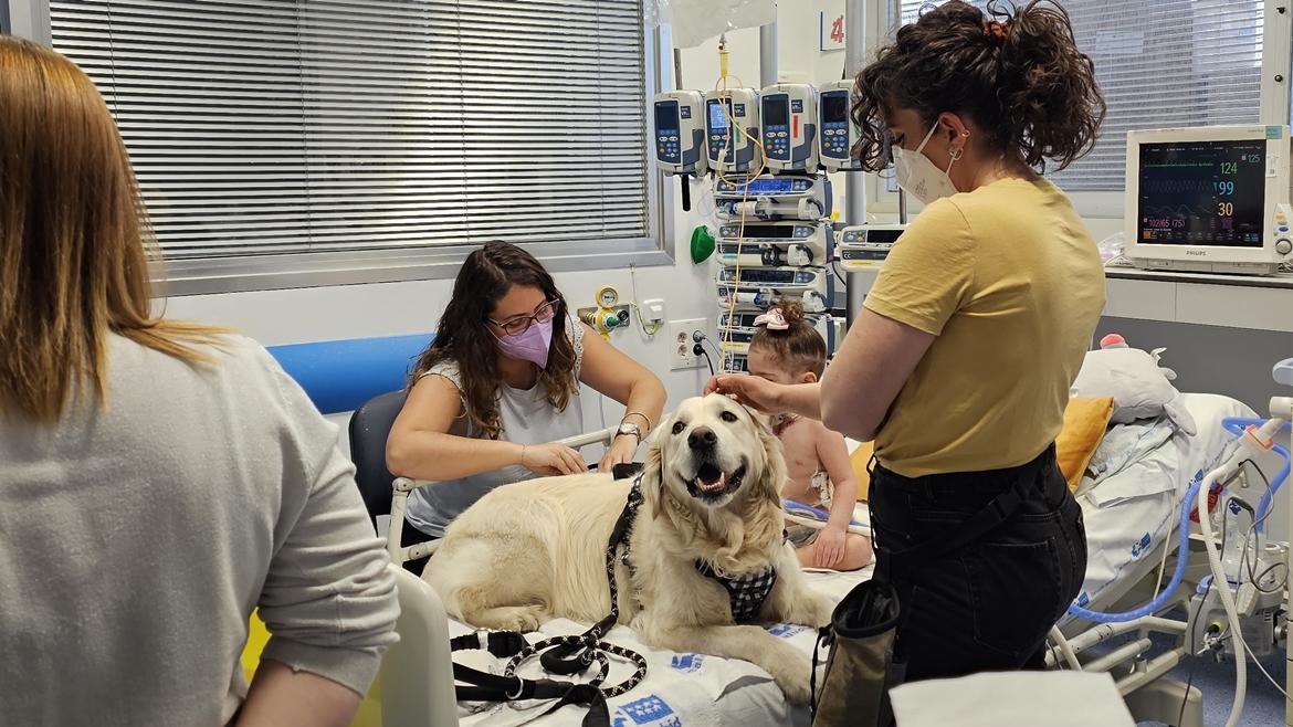 Un estudio confirma que la terapia con perro reduce el dolor y la ansiedad en niños ingresados en Cuidados Intensivos del Hospital 12 de Octubre