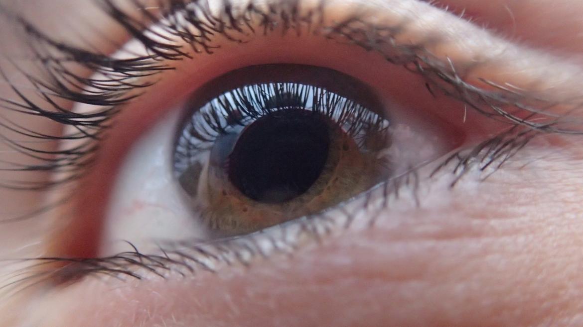 El Hospital Príncipe de Asturias avanza en la investigación sobre la córnea, un factor de riesgo clave en el glaucoma