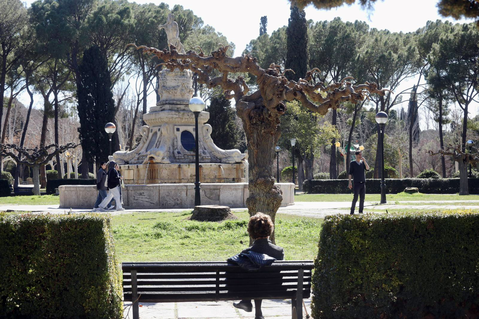 La plaza de la Princesa del parque Grande recuperará arbolado, actualizará su sistema de riego y se renovarán las zonas de césped. Noticia. Ayuntamiento de Zaragoza